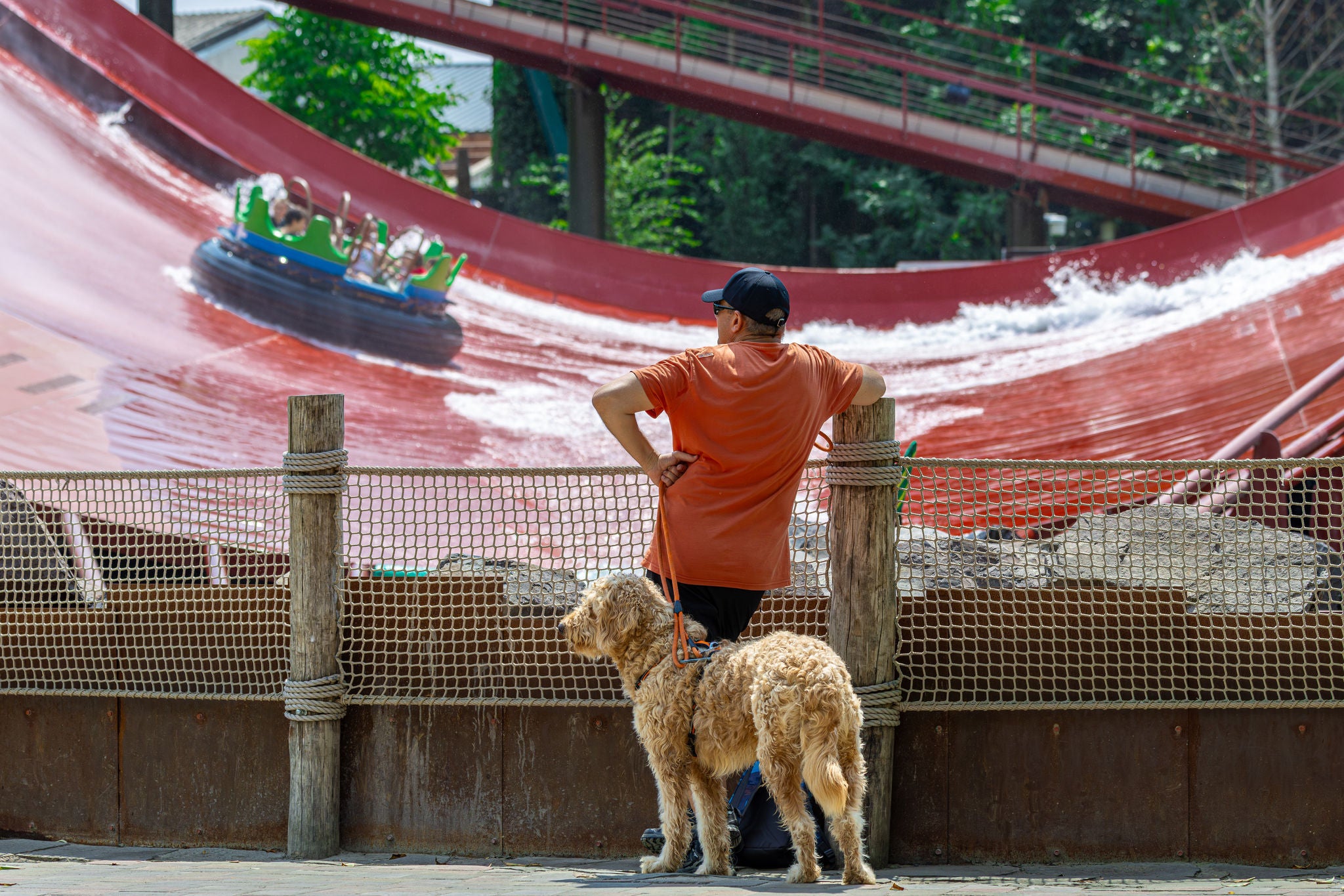 Baasje kijkt samen met zijn hond naar de boot in de halfpipe van Amazonia tijdens Dog Days.