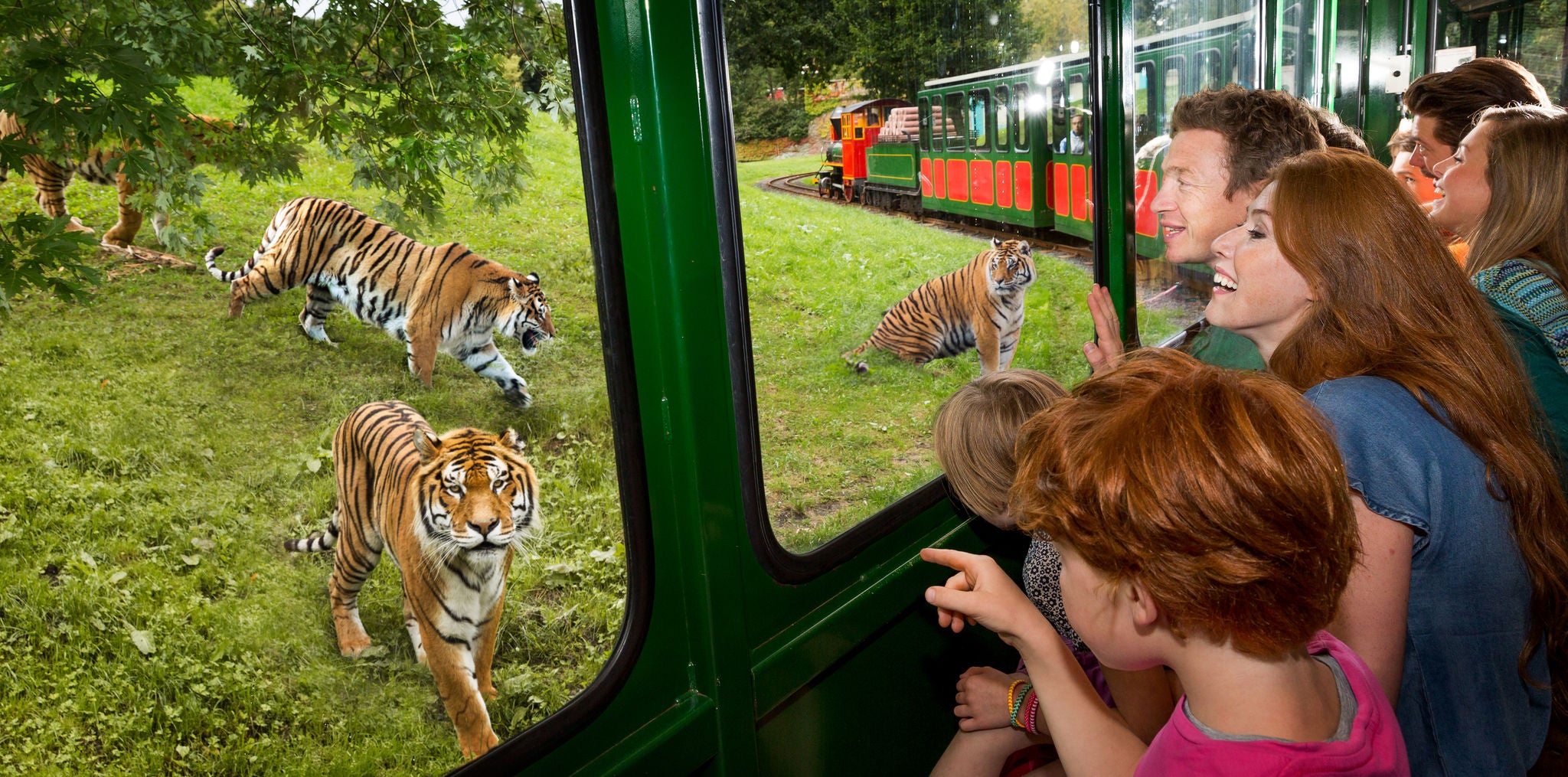 Bengal Express tijgers spotten.