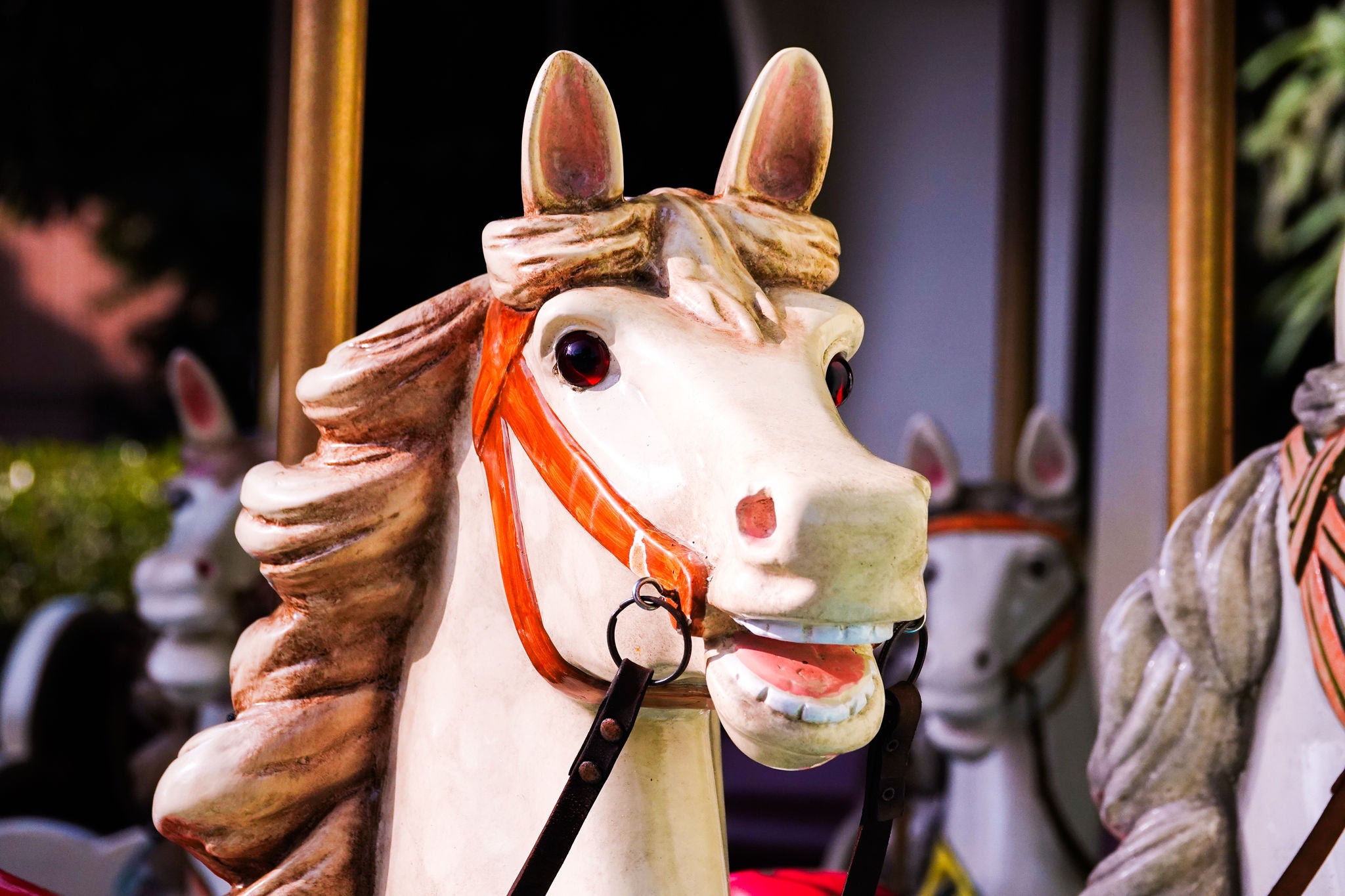 Paard van Carrousel.