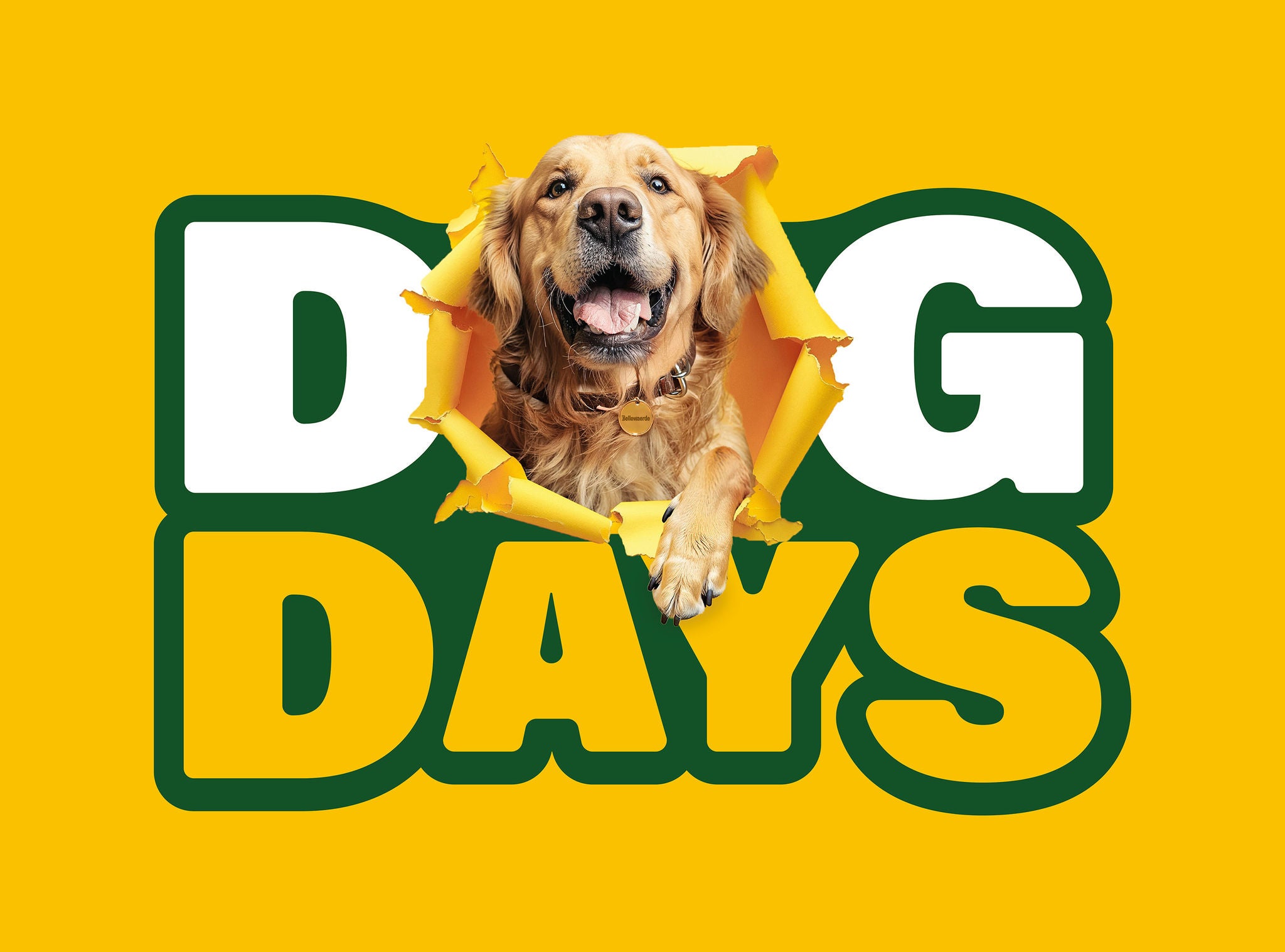 Logo Dog Days.