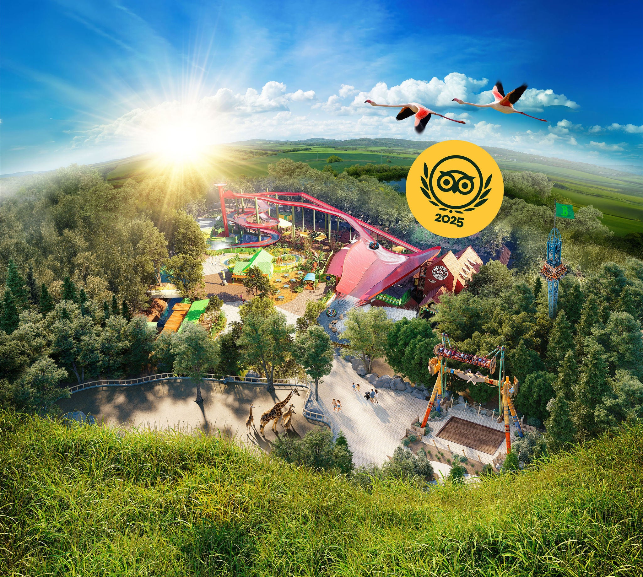 Globe, Amazonia, Boomerang, une girafe, un perroquet, des flamant roses, nuages, le logo du trip advisor award
