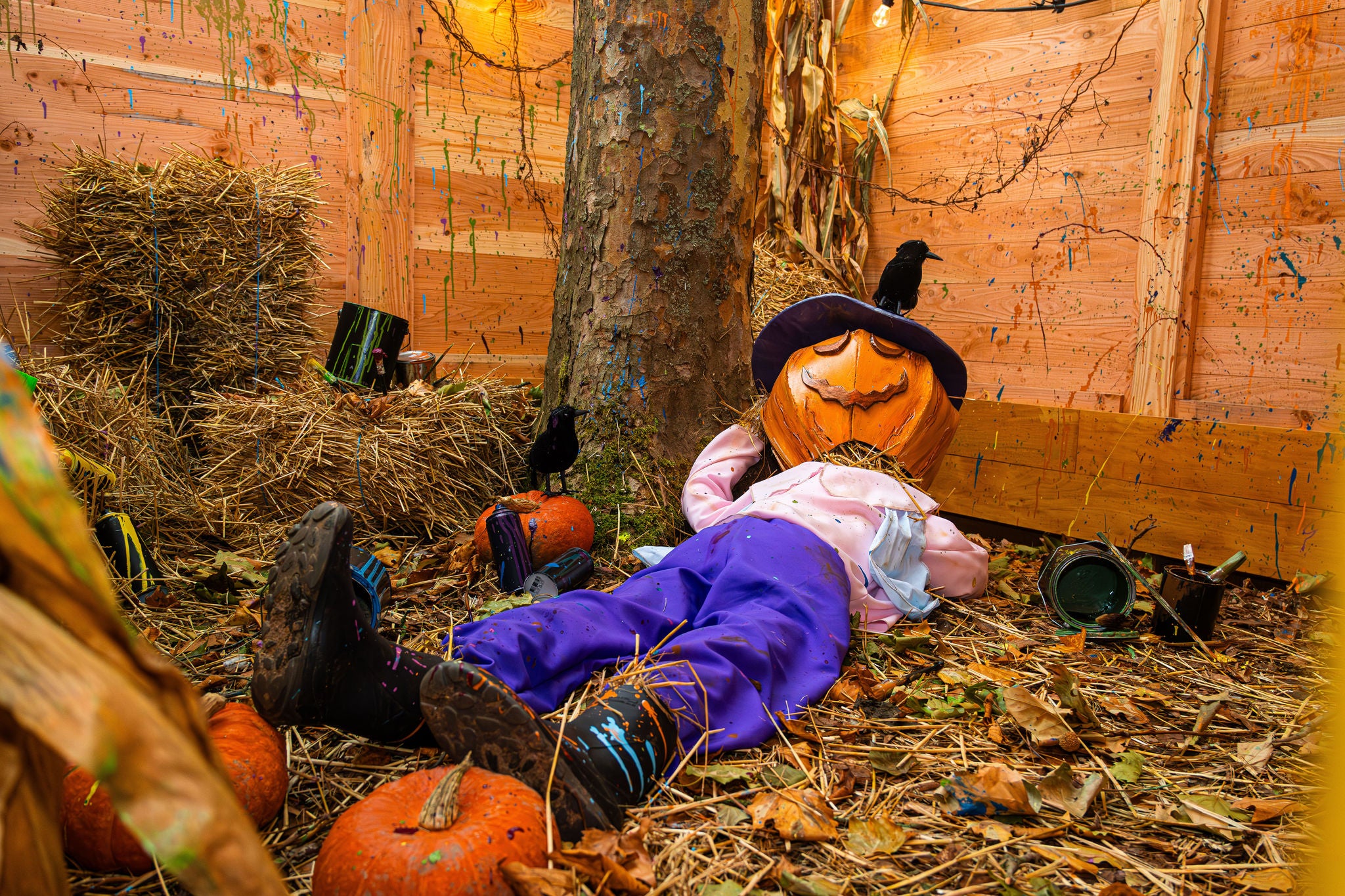 Pompoenman ligt tussen de pompoenen en de verfpotten in Pumpkin Panic. Twee kraaien houden hem nauwlettend in de gaten.
