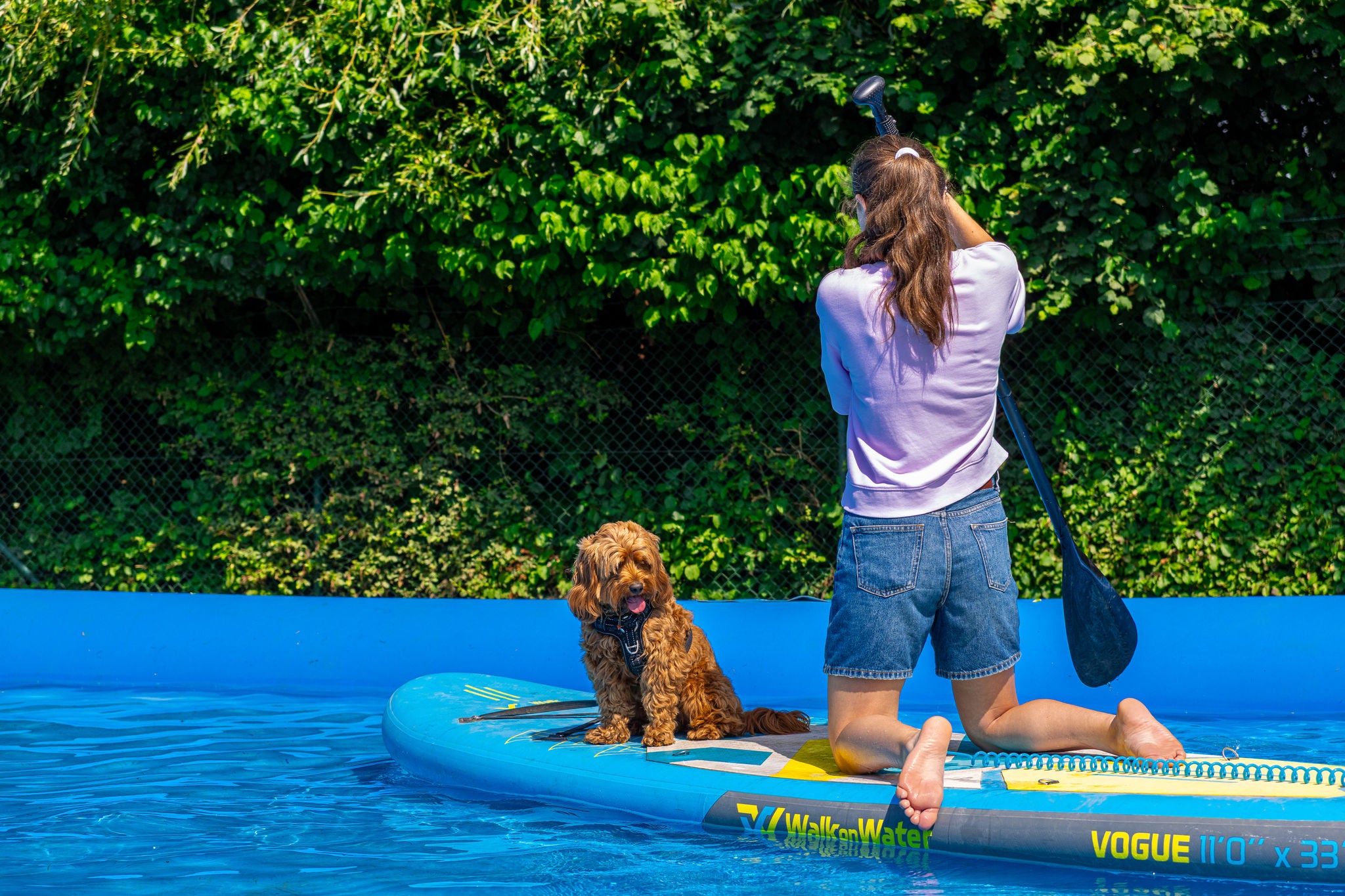 Baasje doet samen met haar hond aan kanipaddle op een surfplank tijdens Dog Days.