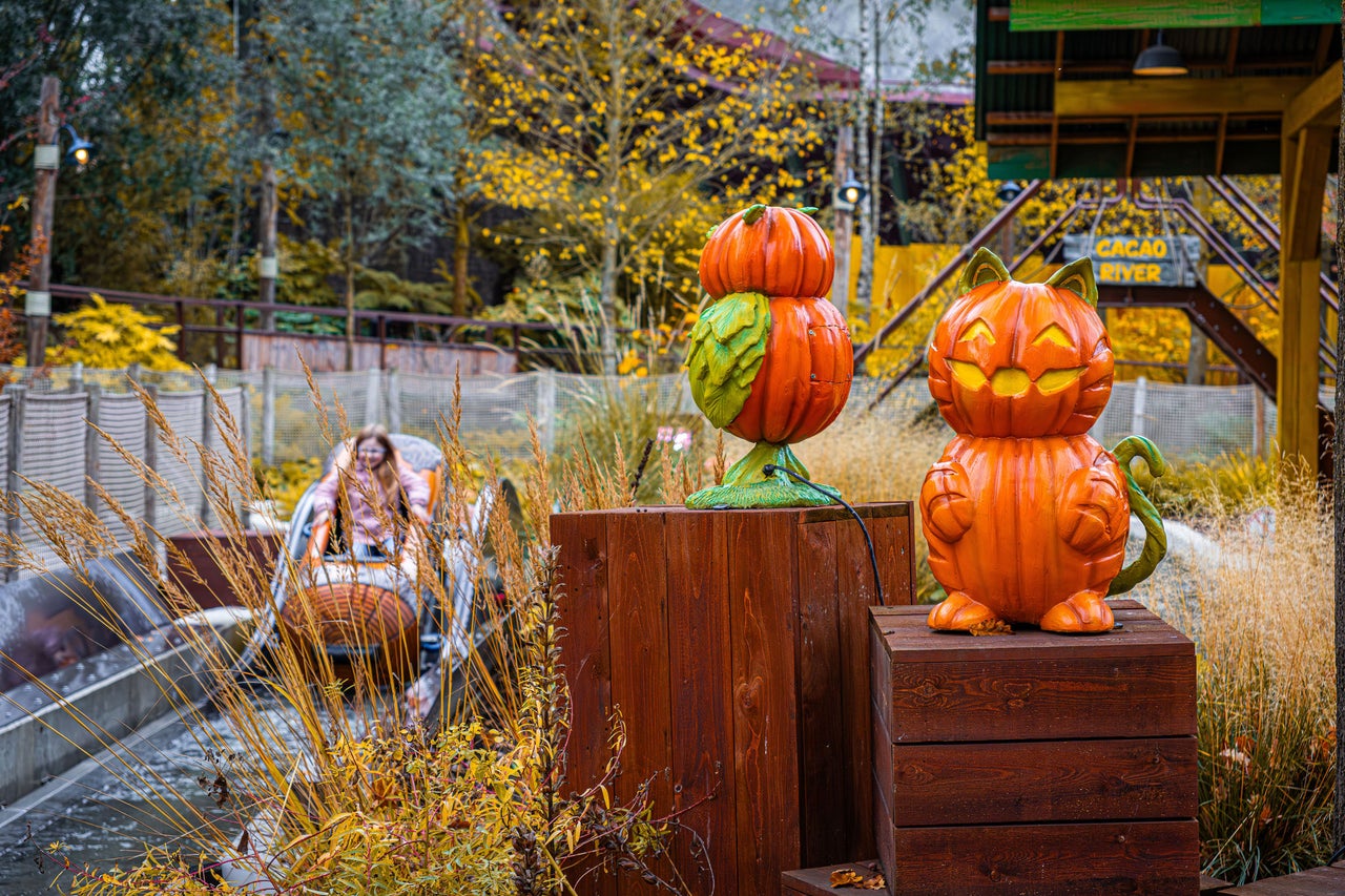 Pumpkin Farm