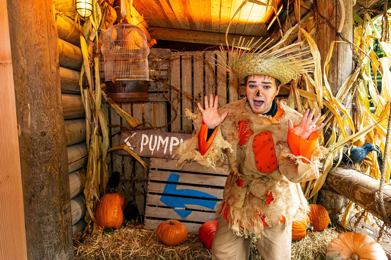 Pumpkin Panic: viens rôder entre les citrouilles
