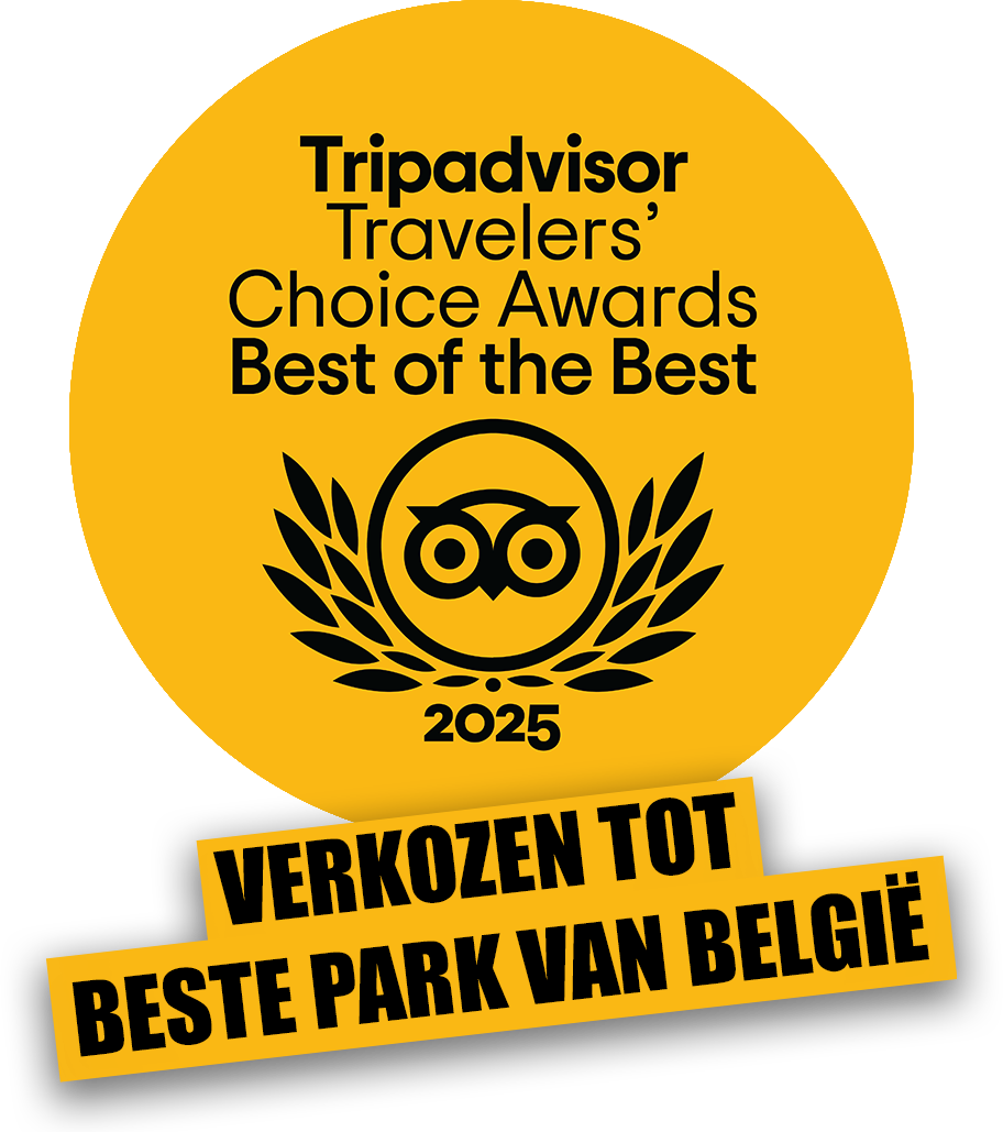 Tripadvisor Travelers' Choice Awards 2025: Best of the Best. Verkozen tot beste park van België.