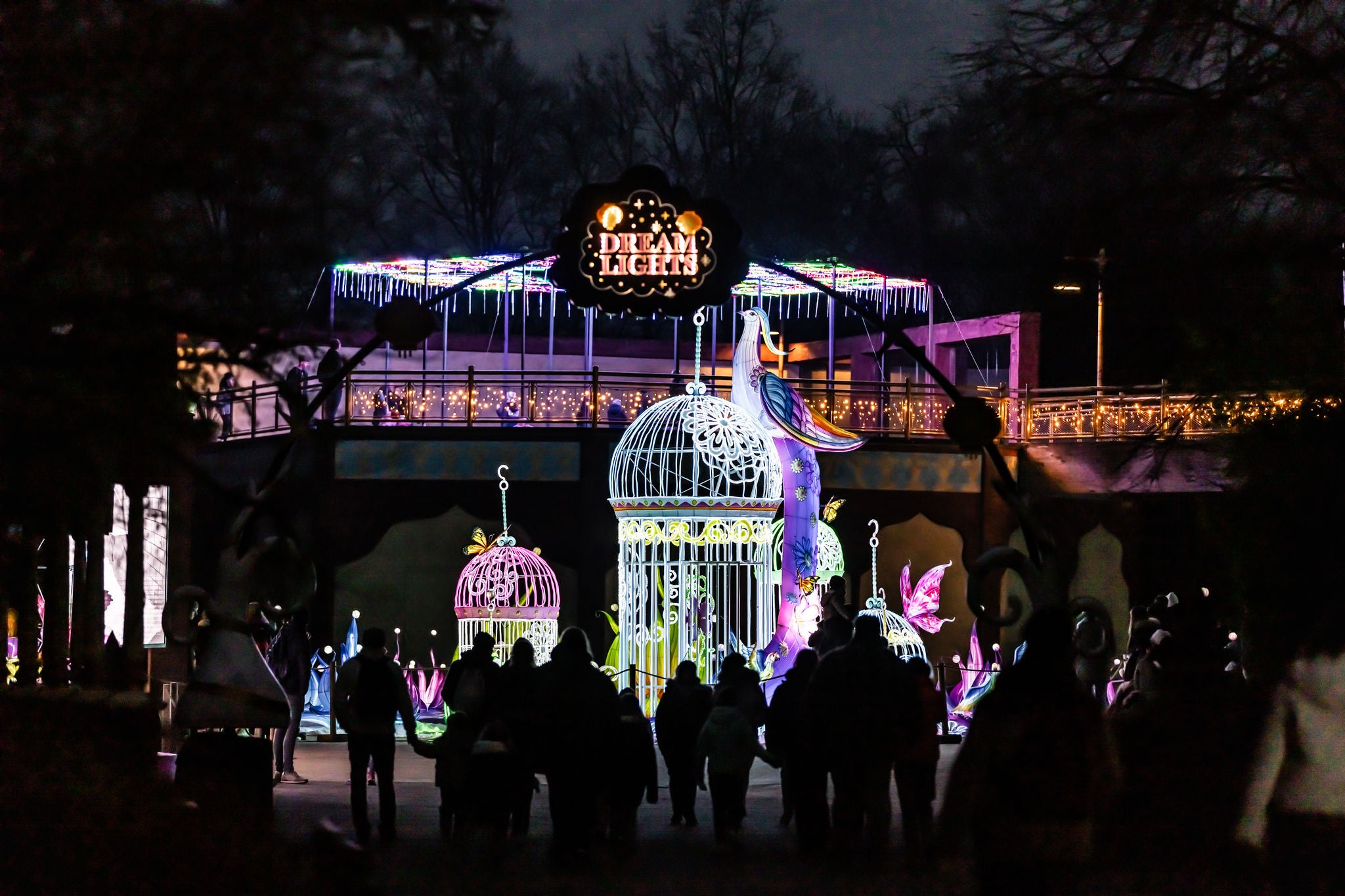 Lichtgevende kooien, vogel, bloemen en vlinders in Dream Lights.