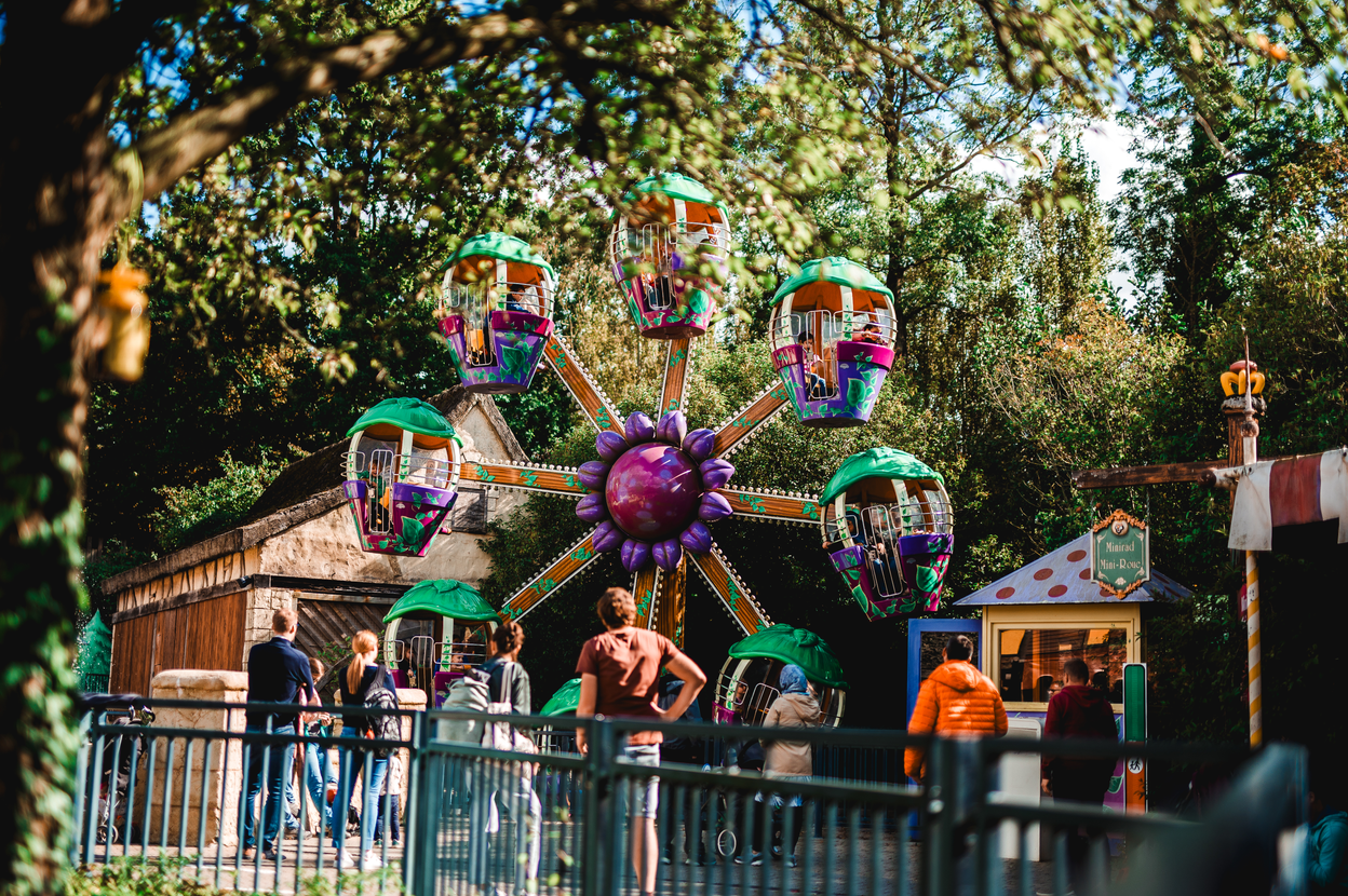 Mini-Roue
