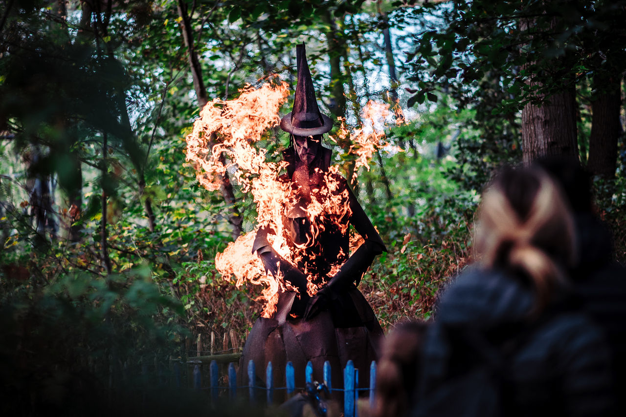 Heks vat vuur in Freaky Forest.